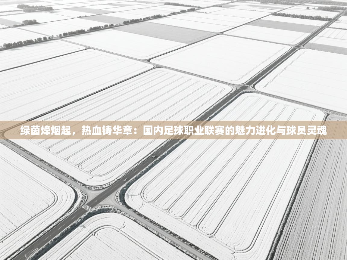 绿茵烽烟起,热血铸华章:国内足球职业联赛的魅力进化与球员灵魂 第1张