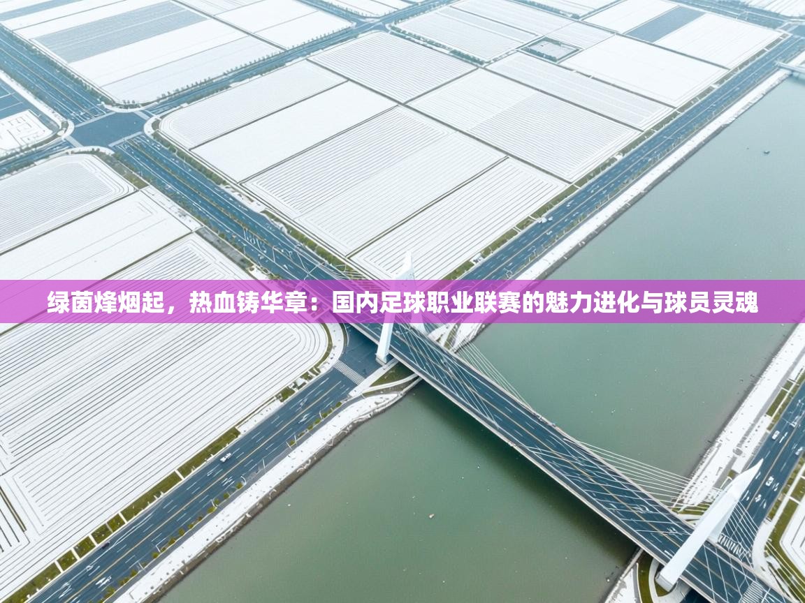 绿茵烽烟起,热血铸华章:国内足球职业联赛的魅力进化与球员灵魂 第2张